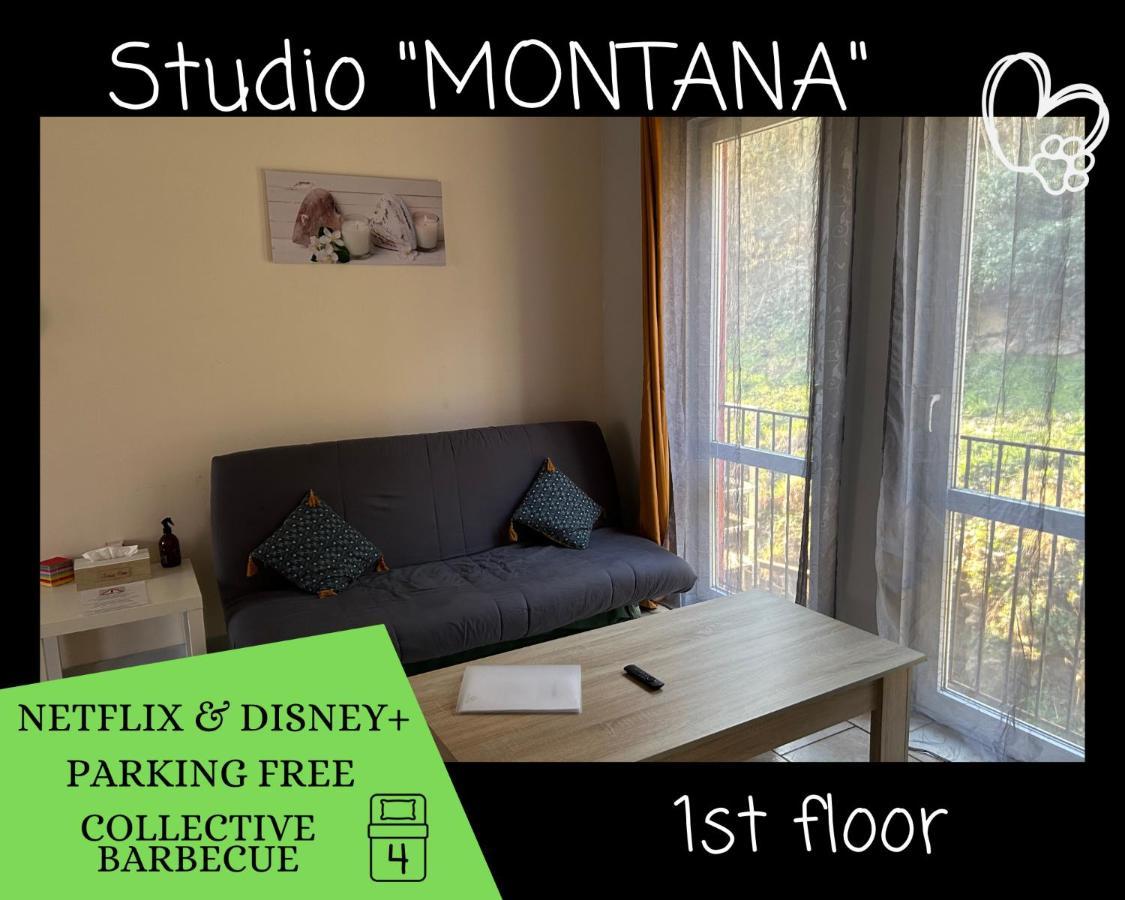 L'Arizona Dinant - Studio Montana - Barbecue, Free Parking, Dog Ok ภายนอก รูปภาพ